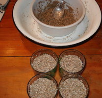 4 bolos montados fai.jpg