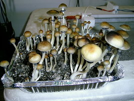 22-11-06 2.JPG