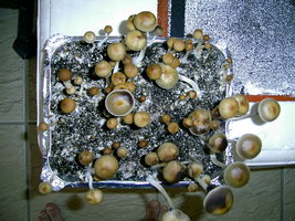 22-11-06 3.JPG