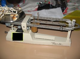 MiniColheita (1).jpg