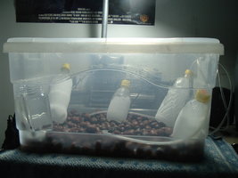 DSCF1194.JPG