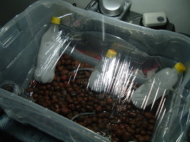DSCF1195.JPG