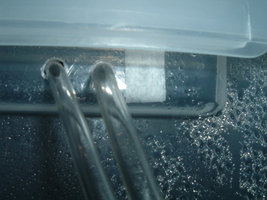 DSCF1170.jpg