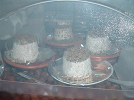 DSCF1204.JPG