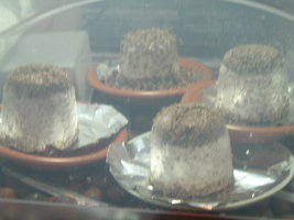 DSCF1205.JPG