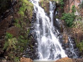 pavuna-domingo-novembro 002.jpg