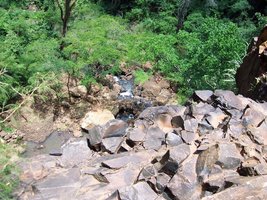 pavuna-domingo-novembro 011.jpg