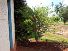 pavuna-domingo-novembro 035.jpg