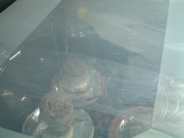 DSCF1213.JPG