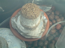 DSCF1214.JPG