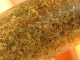 mistura 005.jpg