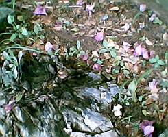 Photo001.jpg