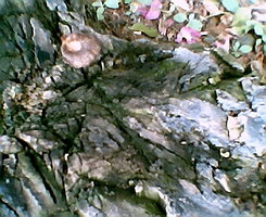 Photo002.jpg