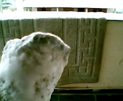 Photo008.jpg