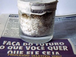 100_2498.jpg