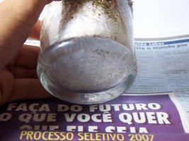 100_2500.jpg