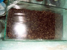 100_2515.jpg