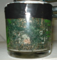 contaminante verde.jpg