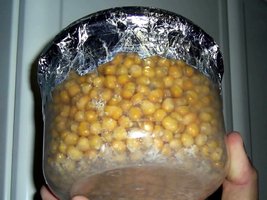 Imagem 0464.jpg