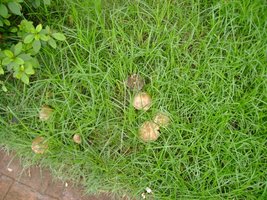 DSC00636.JPG