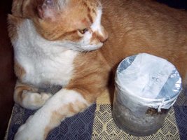100_2523.jpg