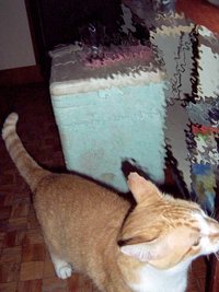 100_2524.jpg