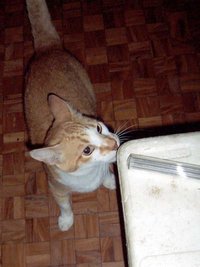 100_2525.jpg