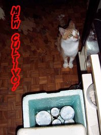 100_2526.jpg