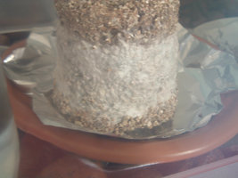 DSCF1218.jpg