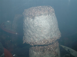 DSCF1226.jpg