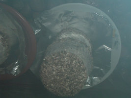 DSCF1228.jpg