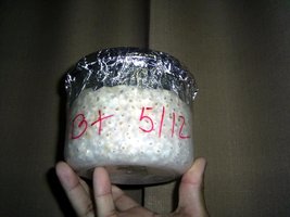 Imagem 0481.jpg