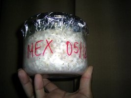 Imagem 0482.jpg