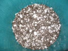 00003_800x600.jpg