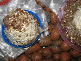 fotos (4).jpg