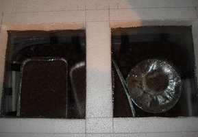 casings + bolo no terrário.jpg
