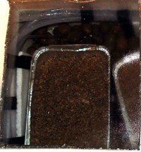 casings + bolo no terrário 4.jpg