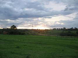 campo (1).jpg