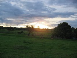 campo (3).jpg