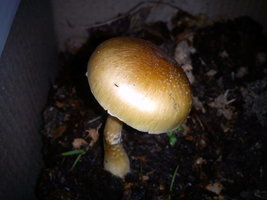 IMG_20120914_124950.jpg
