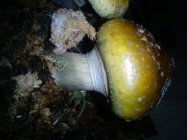 IMG_20120914_125509.jpg
