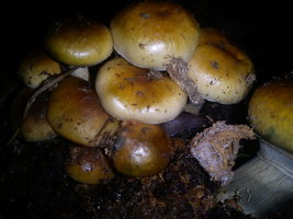 IMG_20120914_125524.jpg