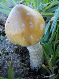 IMG_20120914_173954.jpg
