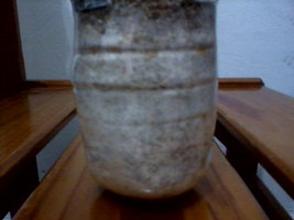 p23n.jpg