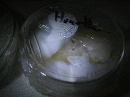 _agar026_640x480.jpg