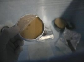 _agar021_640x480.jpg