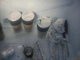 _agar001_640x480.jpg
