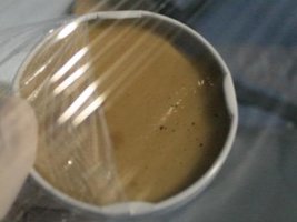 _agar022_640x480.jpg