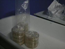 _agar005_640x480.jpg