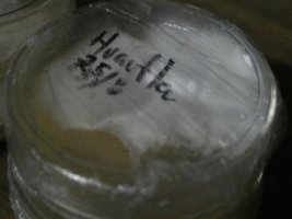_agar017_640x480.jpg